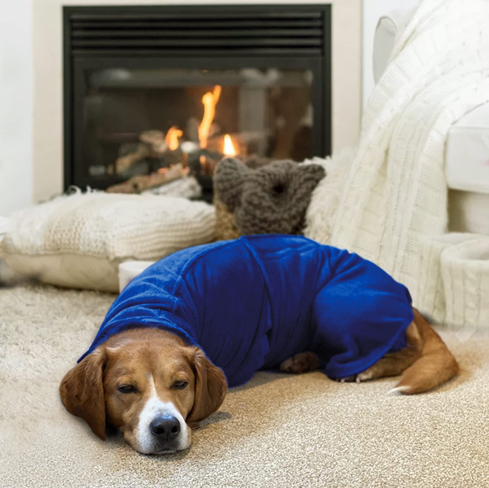 Geyecete dog drying coat blue XXXL on dog after outdoor activity.