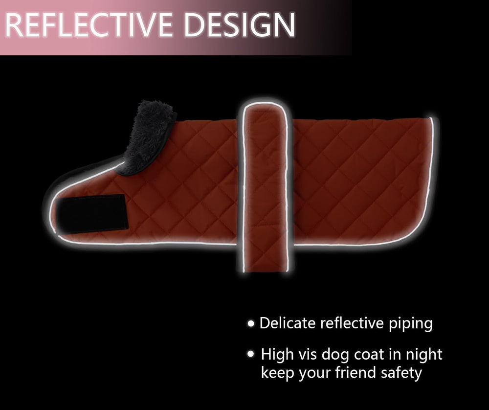 Geyecete coat fold-down neck wither flap highlights added coverage
