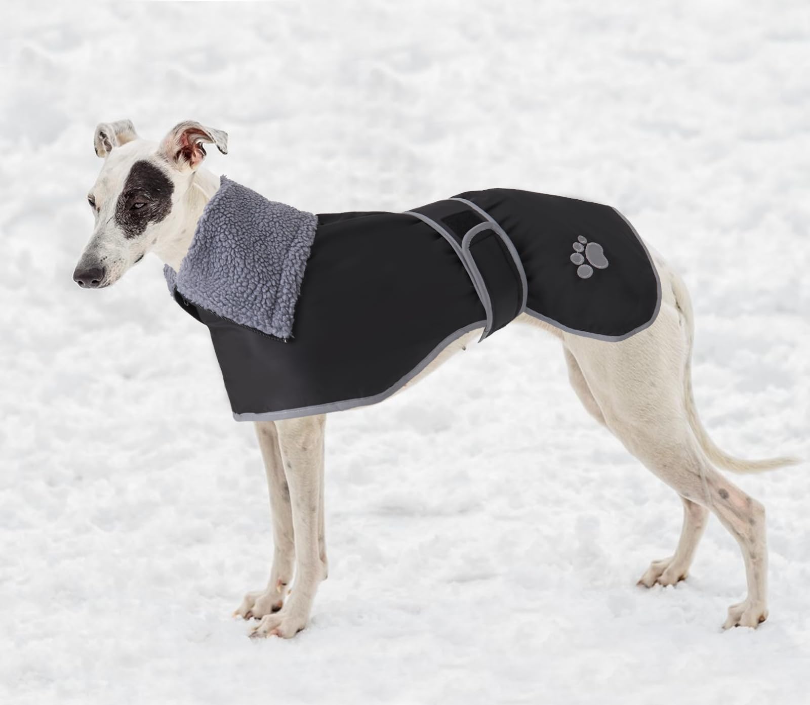 Geyecete Greyhound Winter Coat flat lay for easy storage and care.