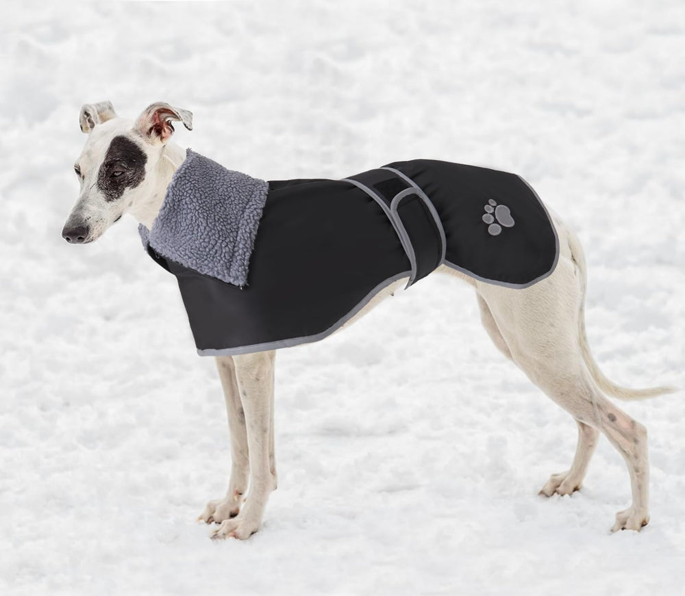 Geyecete Greyhound Winter Coat flat lay for easy storage and care.