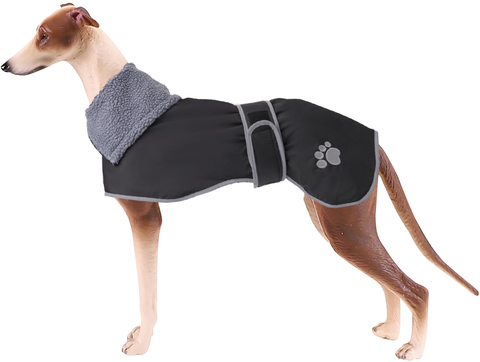 Geyecete Greyhound Winter Coat front view with adjustable bands for a secure fit.