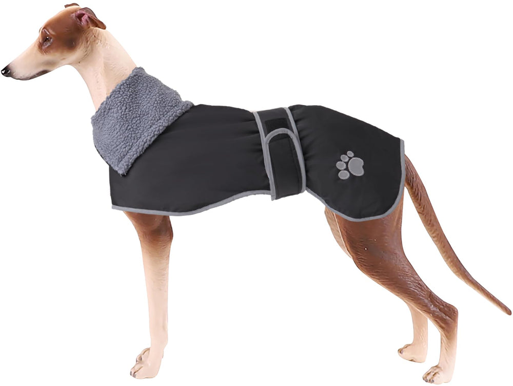Geyecete Greyhound Winter Coat front view with adjustable bands for a secure fit.