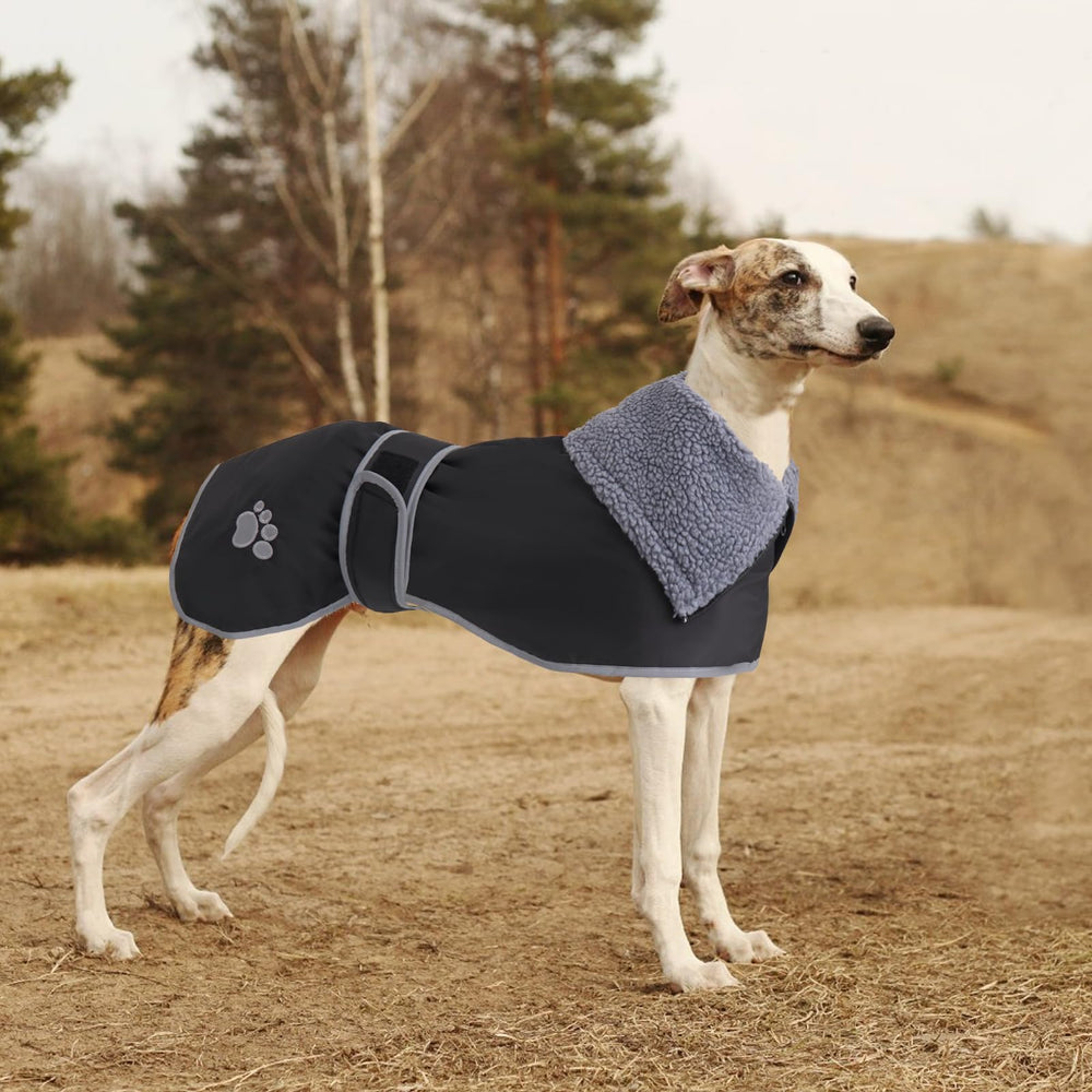 Geyecete Greyhound Winter Coat worn during an outdoor walk for warmth.