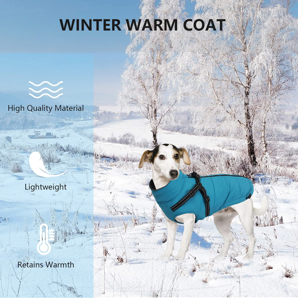 Geyecete harness traction belt feature in action during a snowy outdoor walk