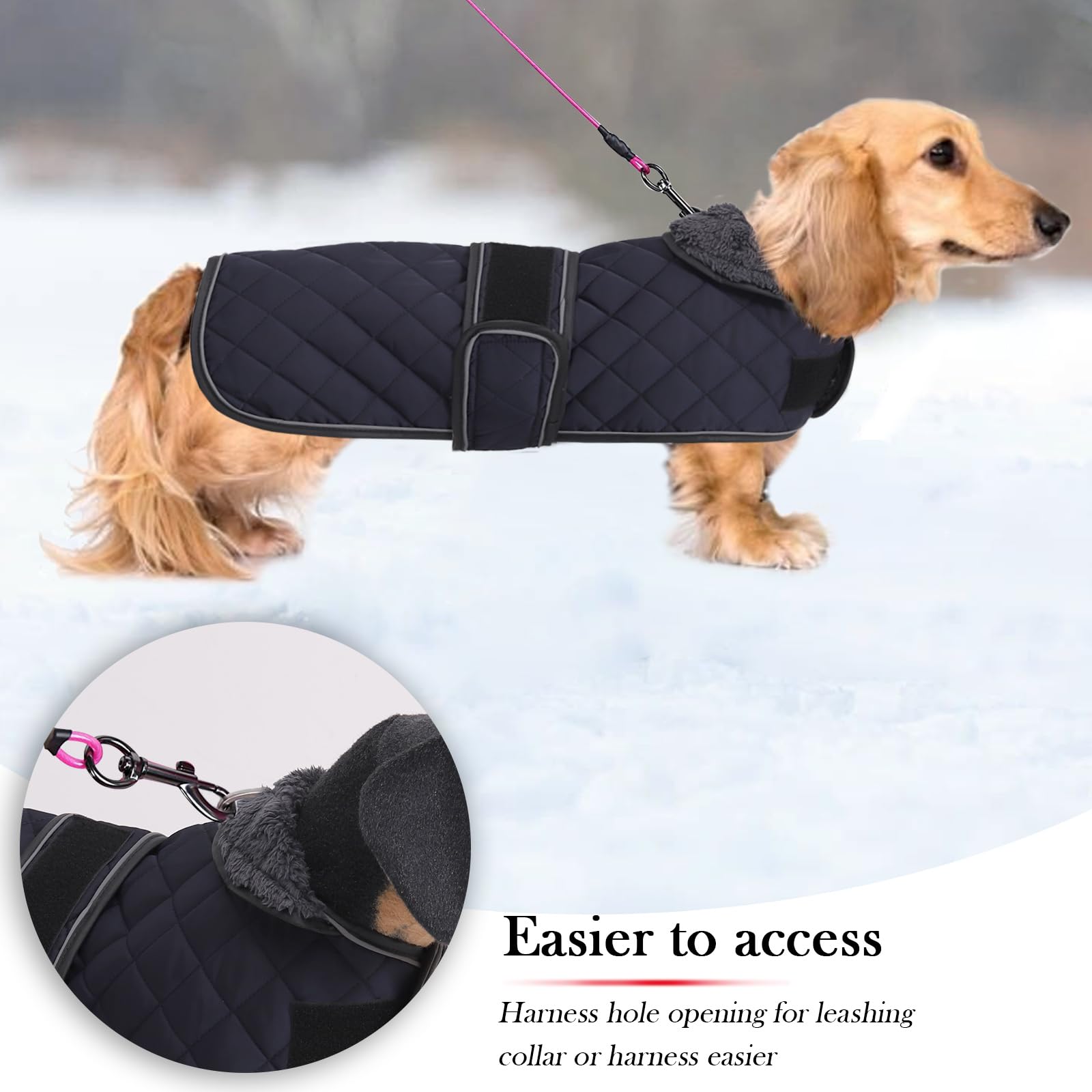 Geyecete Warm Thermal Quilted Dachshund Coat back view highlights full coverage and wind protection