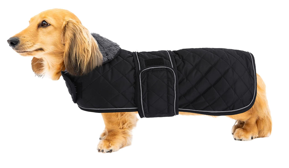 Geyecete warm thermal quilted dachshund coat front view for winter warmth