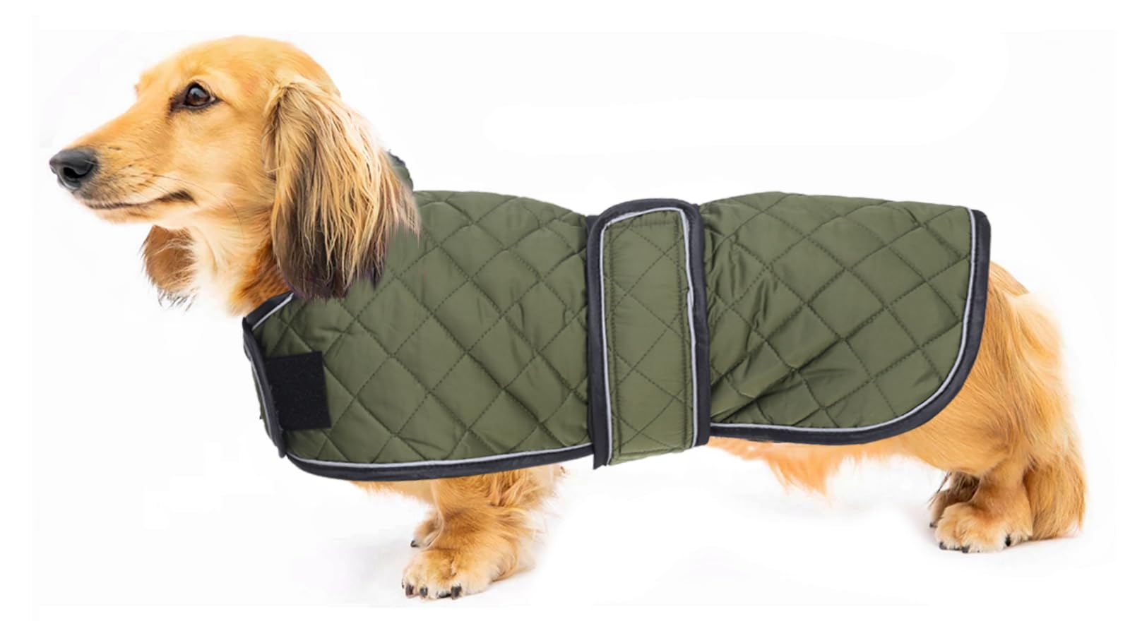 Geyecete warm-thermal-quilted-dachshund-coat front view keeps your dog warm on walks.