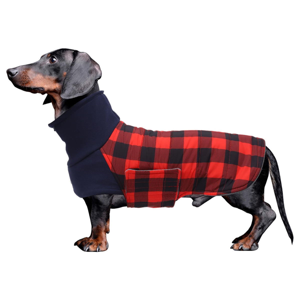 Geyecete warm thermal quilted dachshund coat front view keeps your dog warm and dry