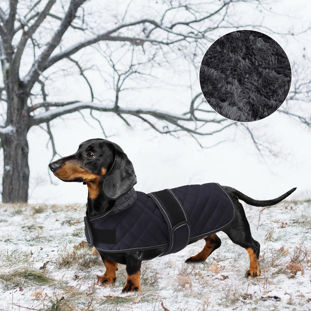 Geyecete Warm Thermal Quilted Dachshund Coat reflective piping enhances visibility in low light