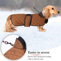 Geyecete coat with reflective piping for nighttime visibility