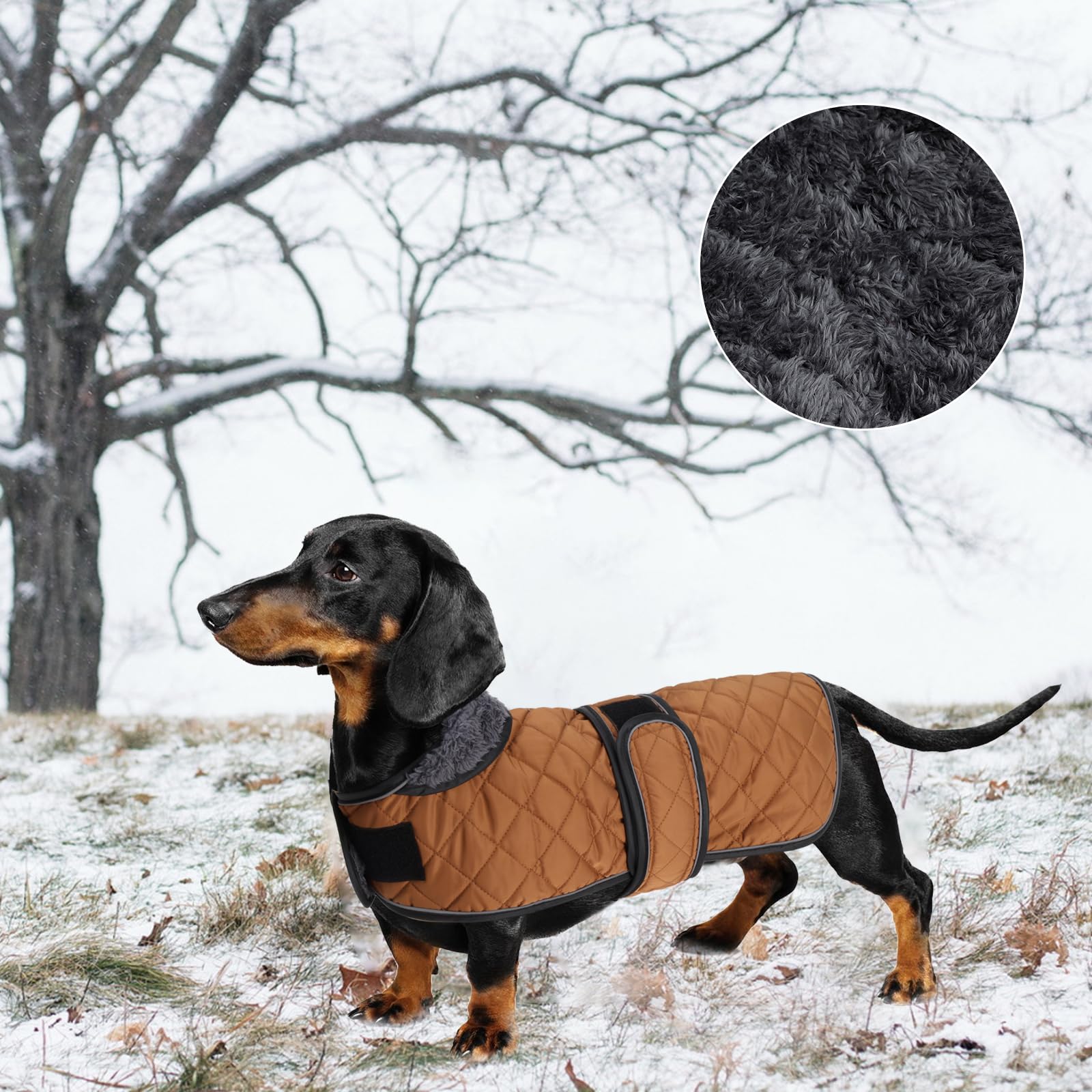 Geyecete waterproof fabric demonstrates rain protection for dogs