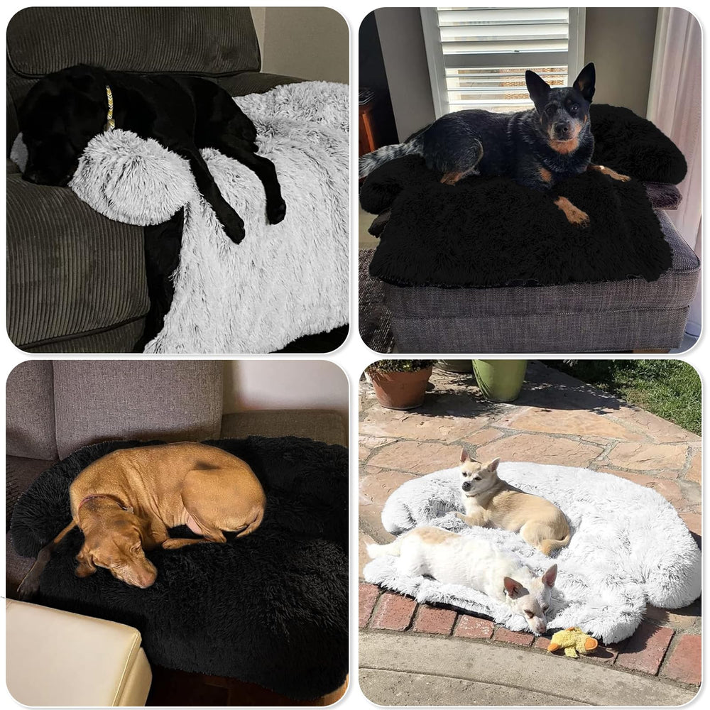 GGIB calming dog bed black color fits modern décor