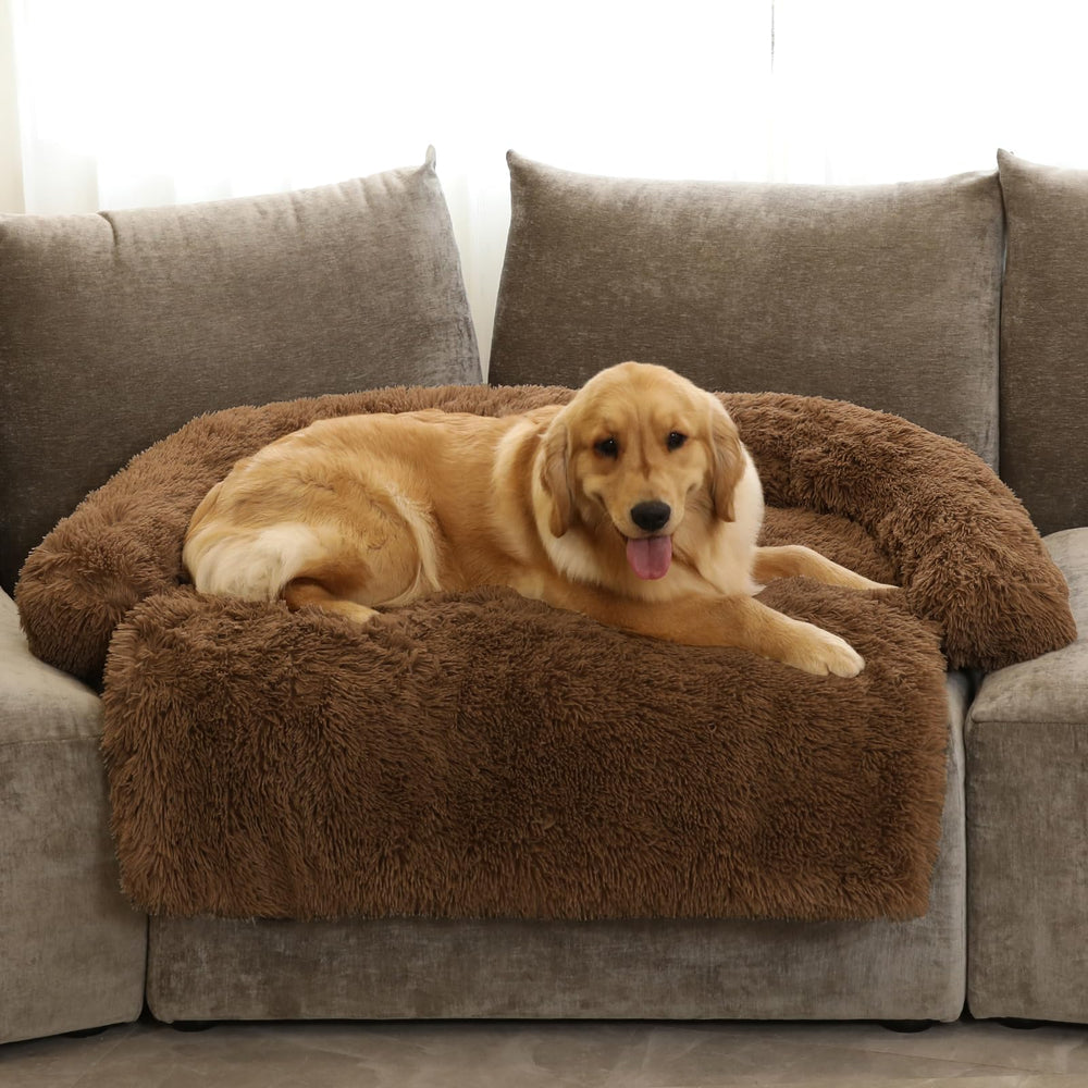 GGIB Calming Dog Bed with curved design for relaxed naps