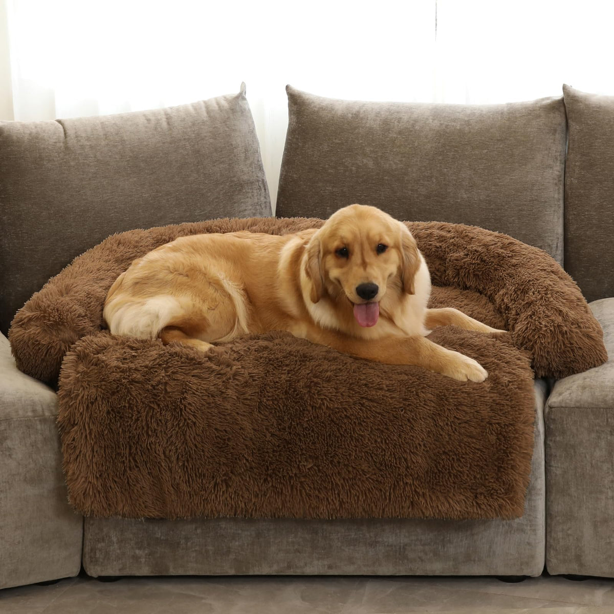 GGIB Calming Dog Bed with curved design for relaxed naps