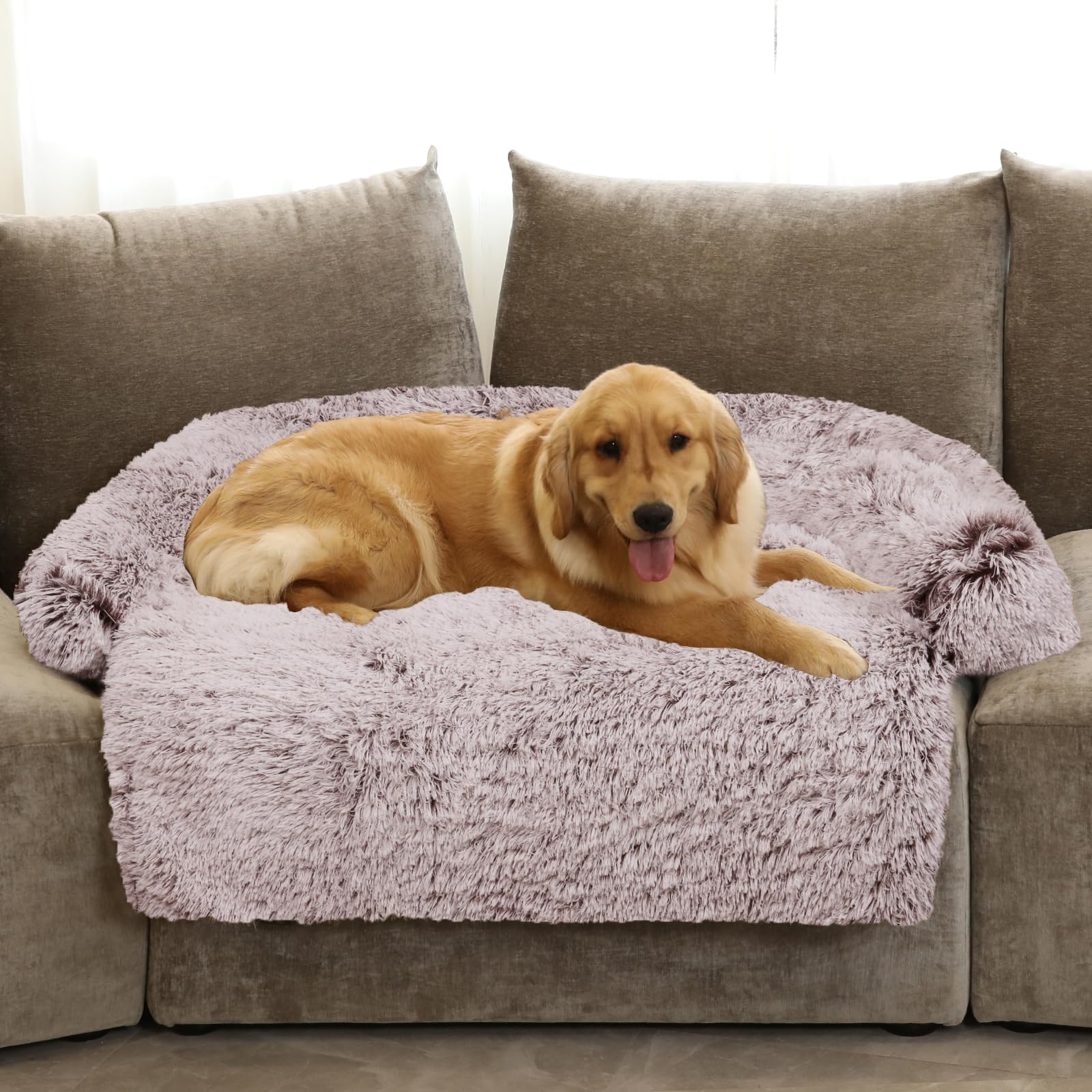 GGIB Calming Dog Bed extralarge rust-white front view for spacious, cozy naps.