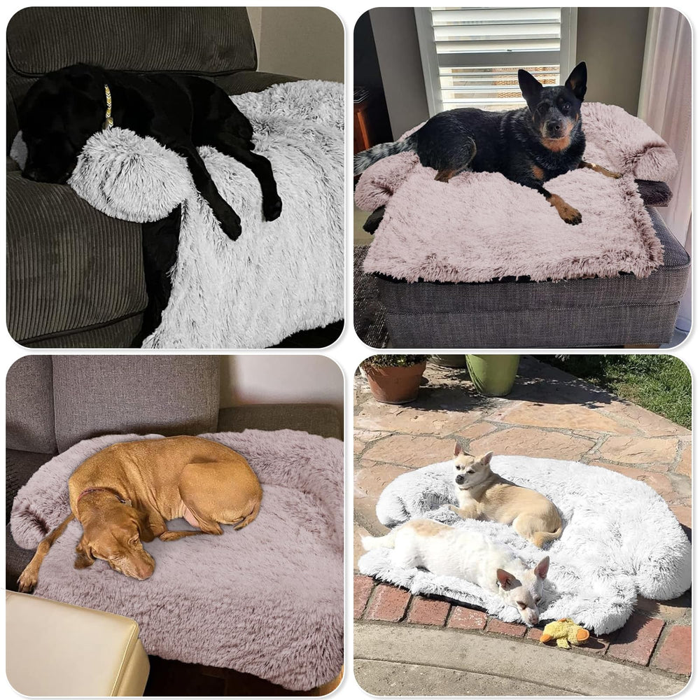 GGIB Calming Dog Bed extralarge-rust-white-in-room signals versatile home use.