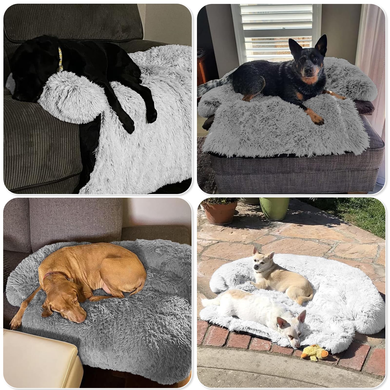 GGIB calming dog bed foldable and rollable for easy transport