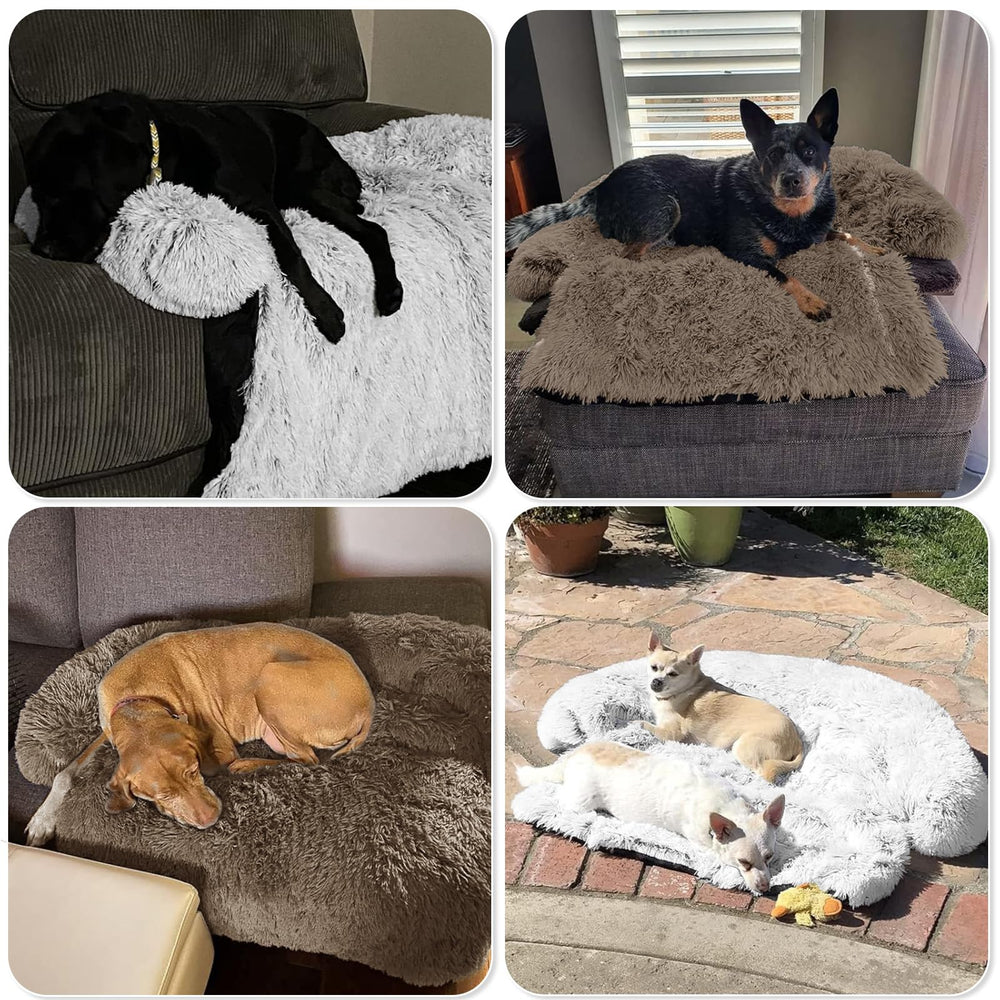 GGIB Calming Dog Bed camel-colored furniture protector and pet resting spot.