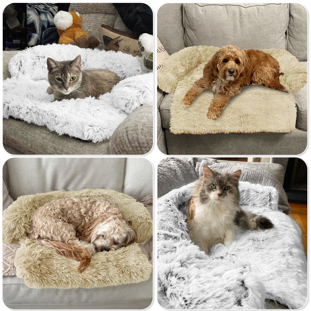 GGIB Calming Dog Bed living room setup blends with decor as pets relax