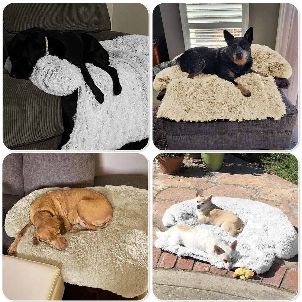 GGIB Calming Dog Bed medium beige plush closeup highlights soft fleece fabric