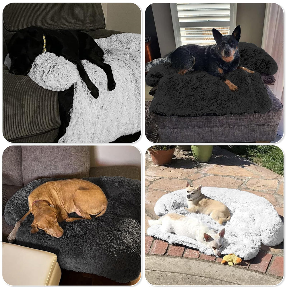 GGIB small-size 35x31 bed offers cozy fit for small pets and cats.