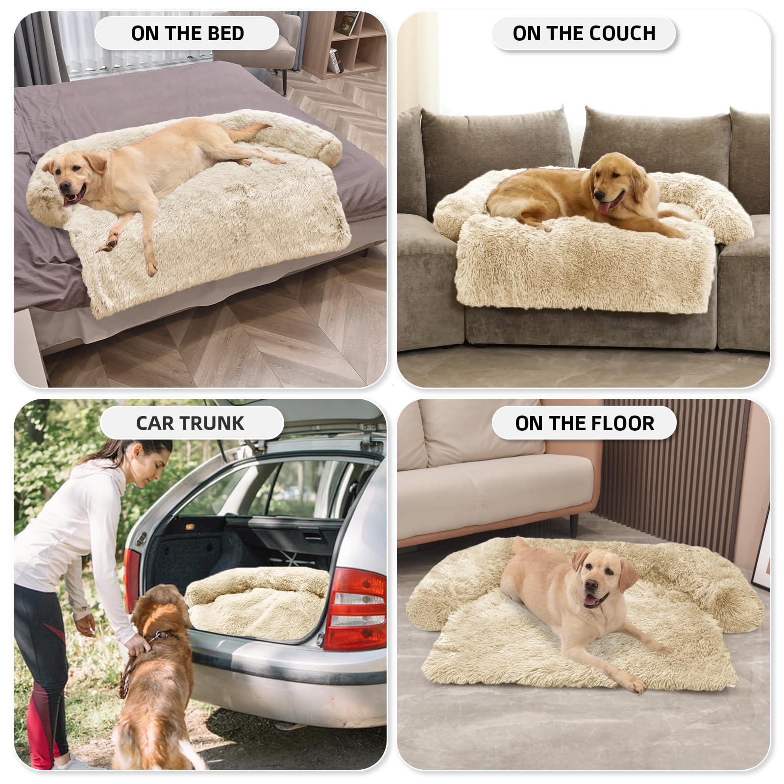 GGIB Calming Dog Bed placed on sofa and car seating to protect furniture