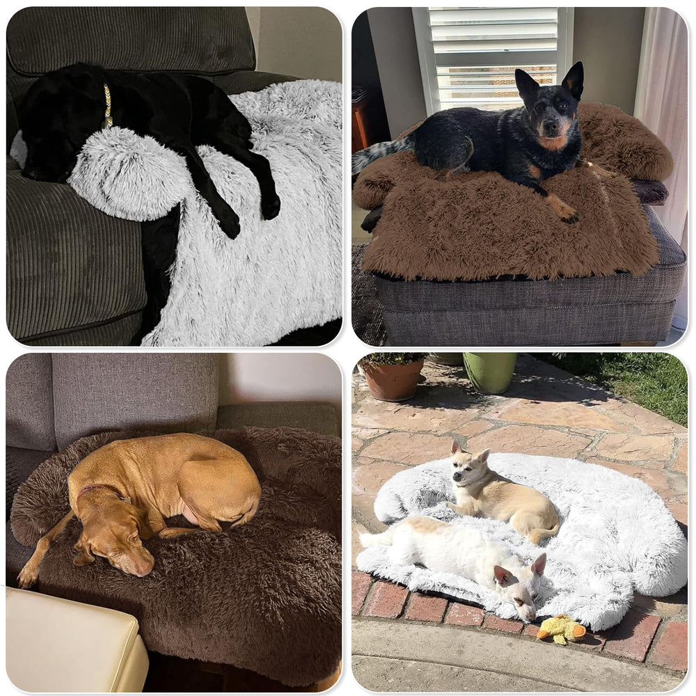 GGIB Calming Dog Bed travel-ready design folds for car journeys