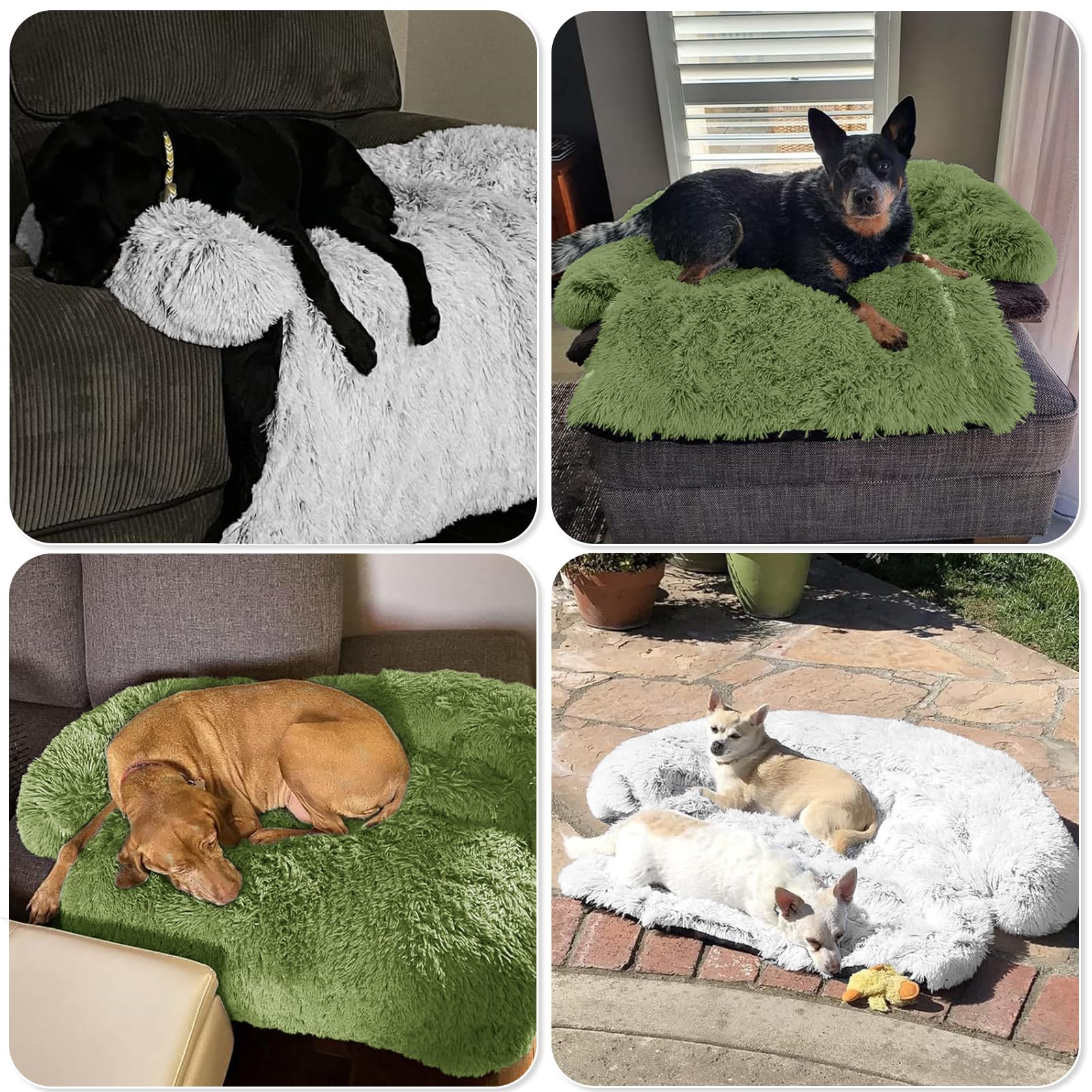 GGIB Calming Dog Bed rolled for travel and outdoor use
