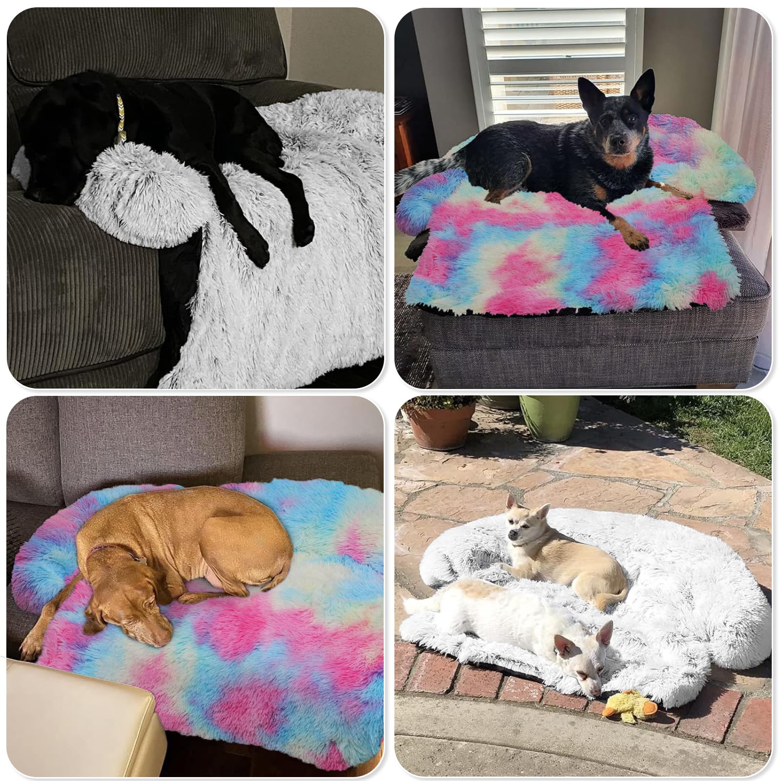 GGIB Calming Dog Bed rolled for travel fits in car trunks