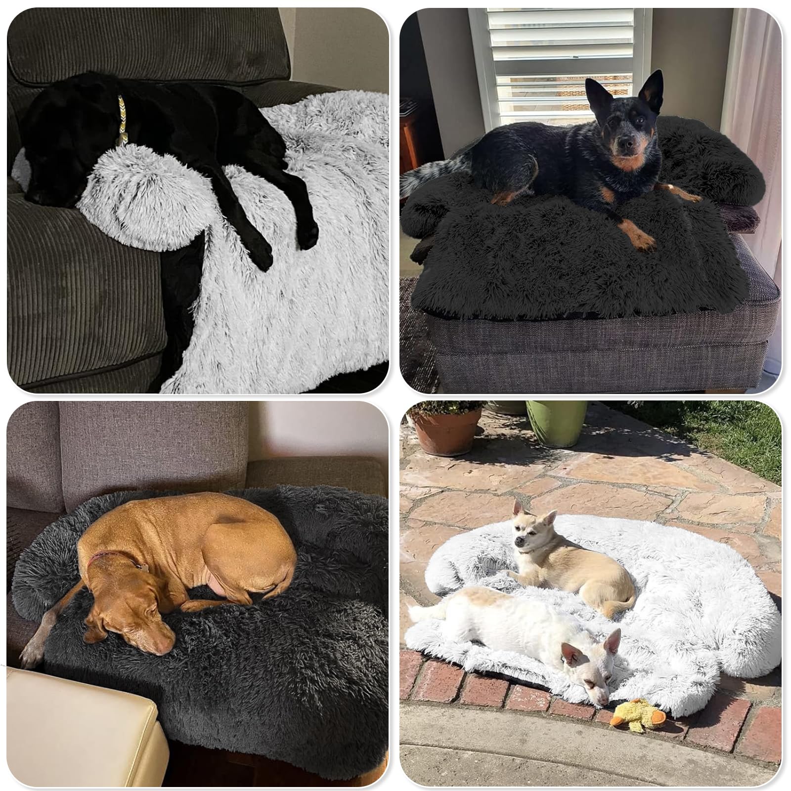 GGIB Calming Dog Bed XS to XXL sizes provide space for all pets.