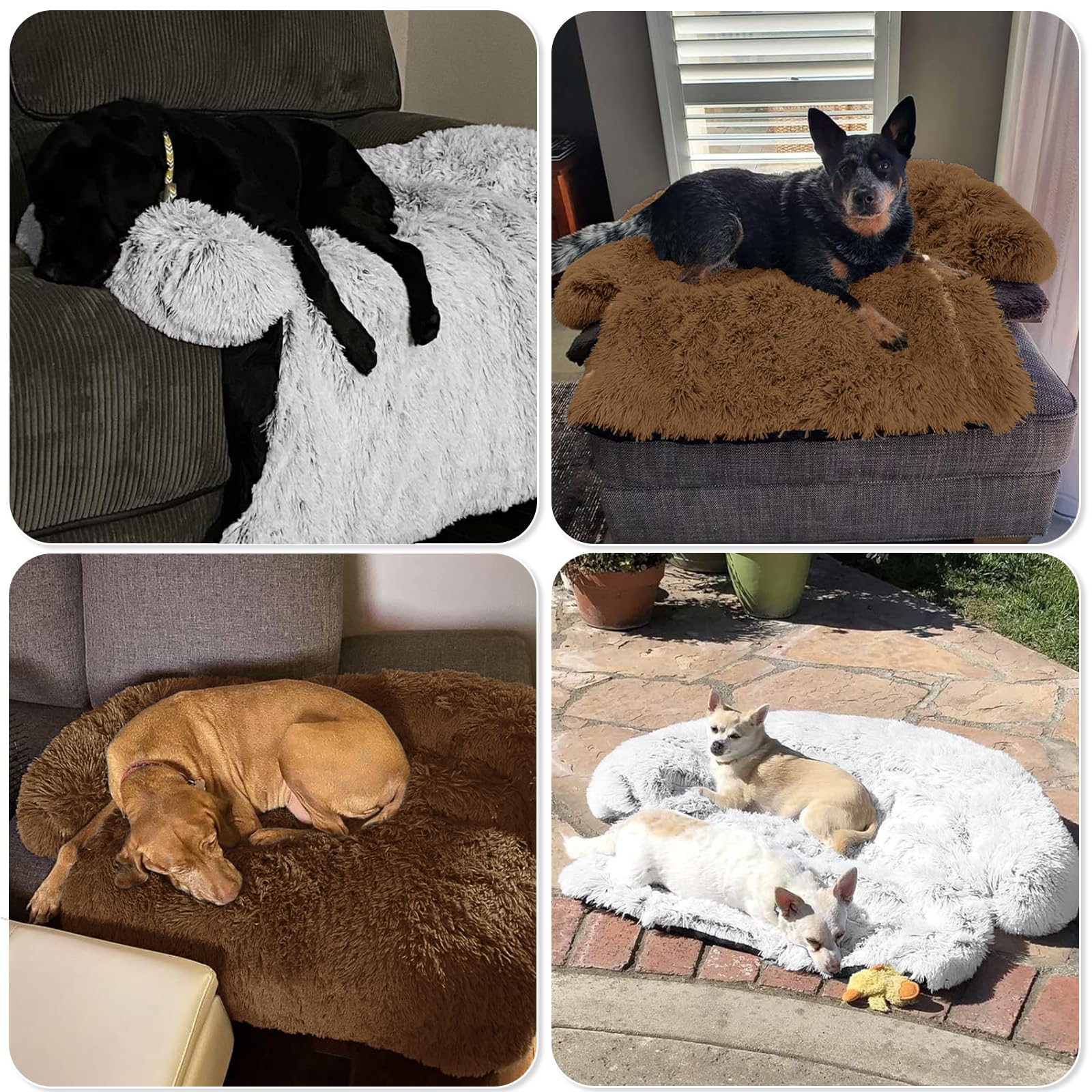 GGIB Calming Dog Bed xl size 53x39 inches for extra space.