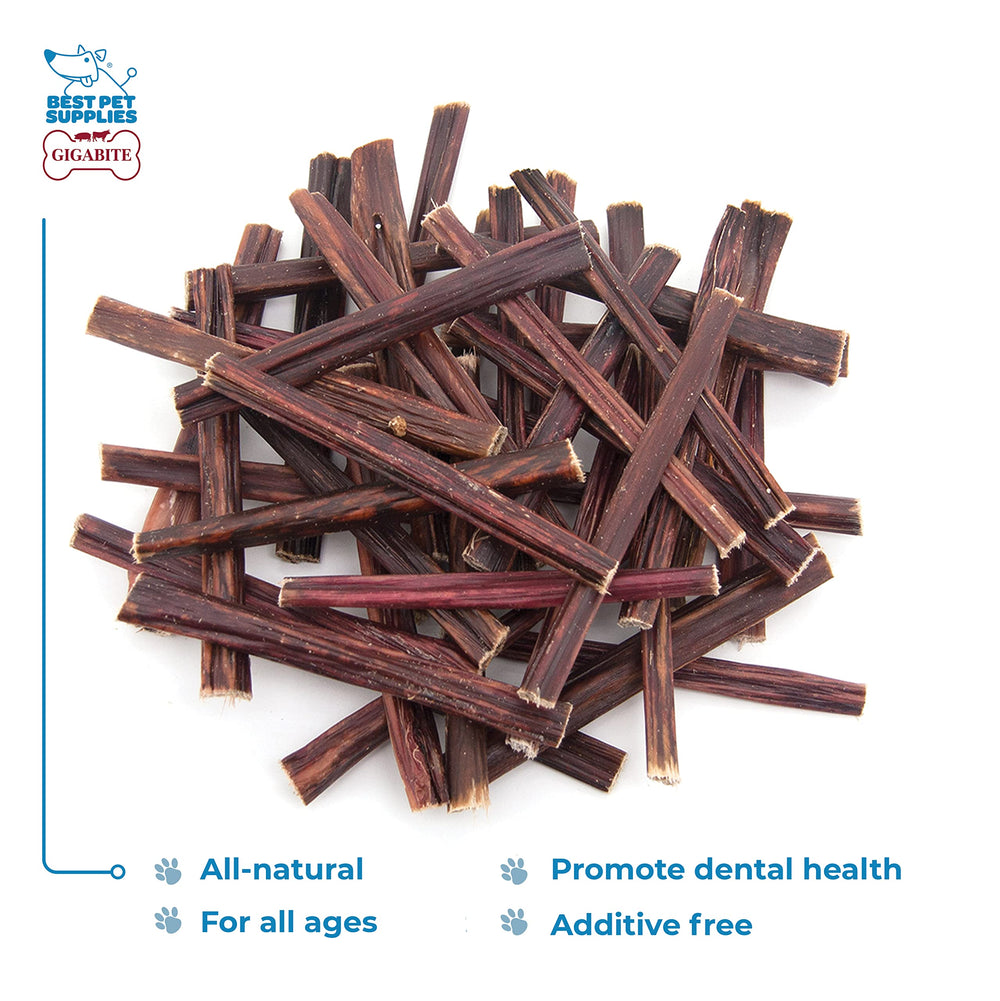 Gigabite single-ingredient dog treats chew-action image showing engaging, protein-rich chew rewards