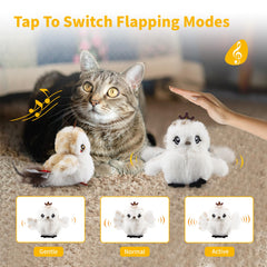 Gigwi catnip pouch inside supports stress relief and exploration.