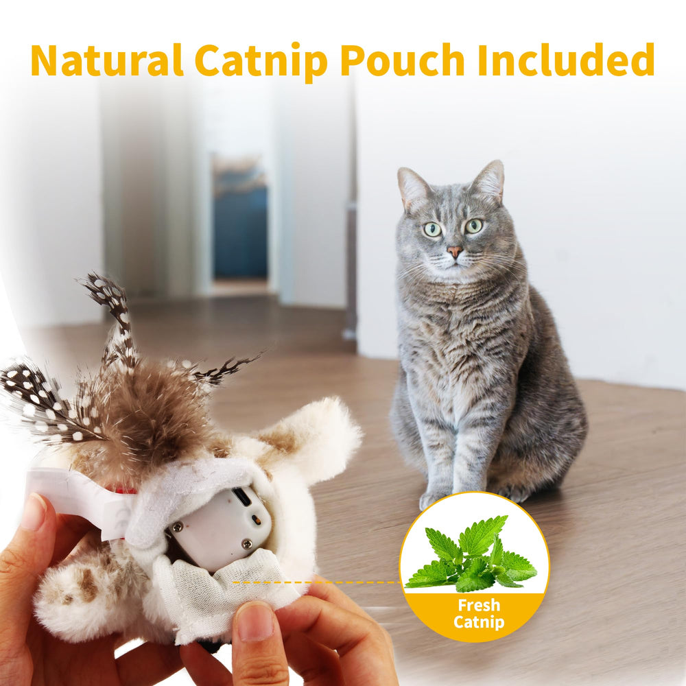 Gigwi interactive cat toy in use promotes sustained engagement.