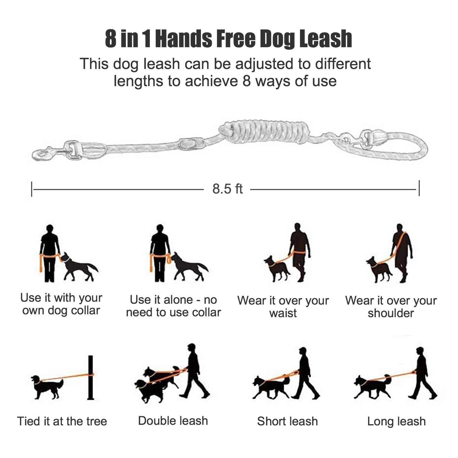 Gihunk hands free leash tied to a tree for quick hands-free breaks during hikes