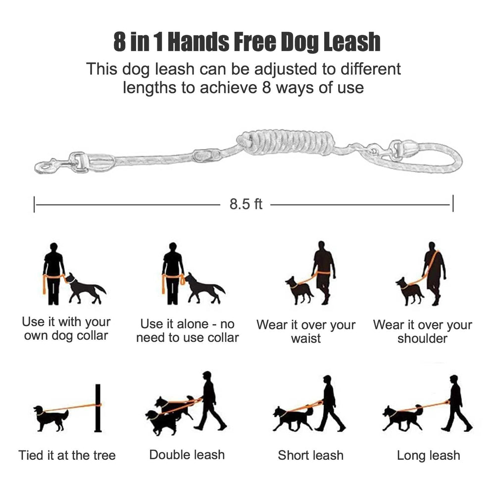 Gihunk hands free leash tied to a tree for quick hands-free breaks during hikes