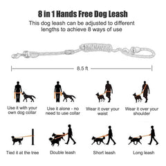 Gihunk hands free leash tied to a tree for quick hands-free breaks during hikes