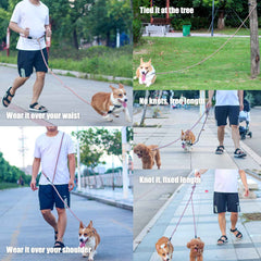 Gihunk hands free leash used for two dogs on a single belt for synchronized walks