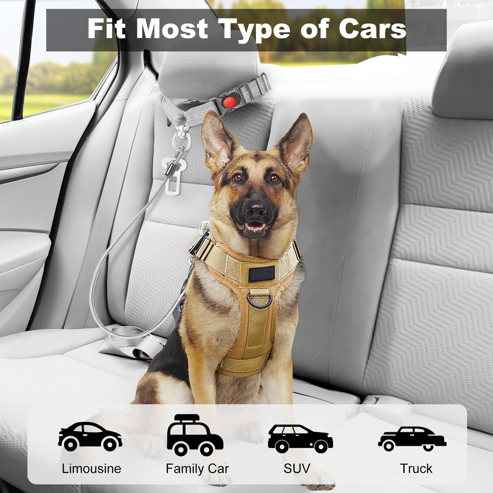 Giiyoe comfortable fit keeps dog looking out the window during trips.