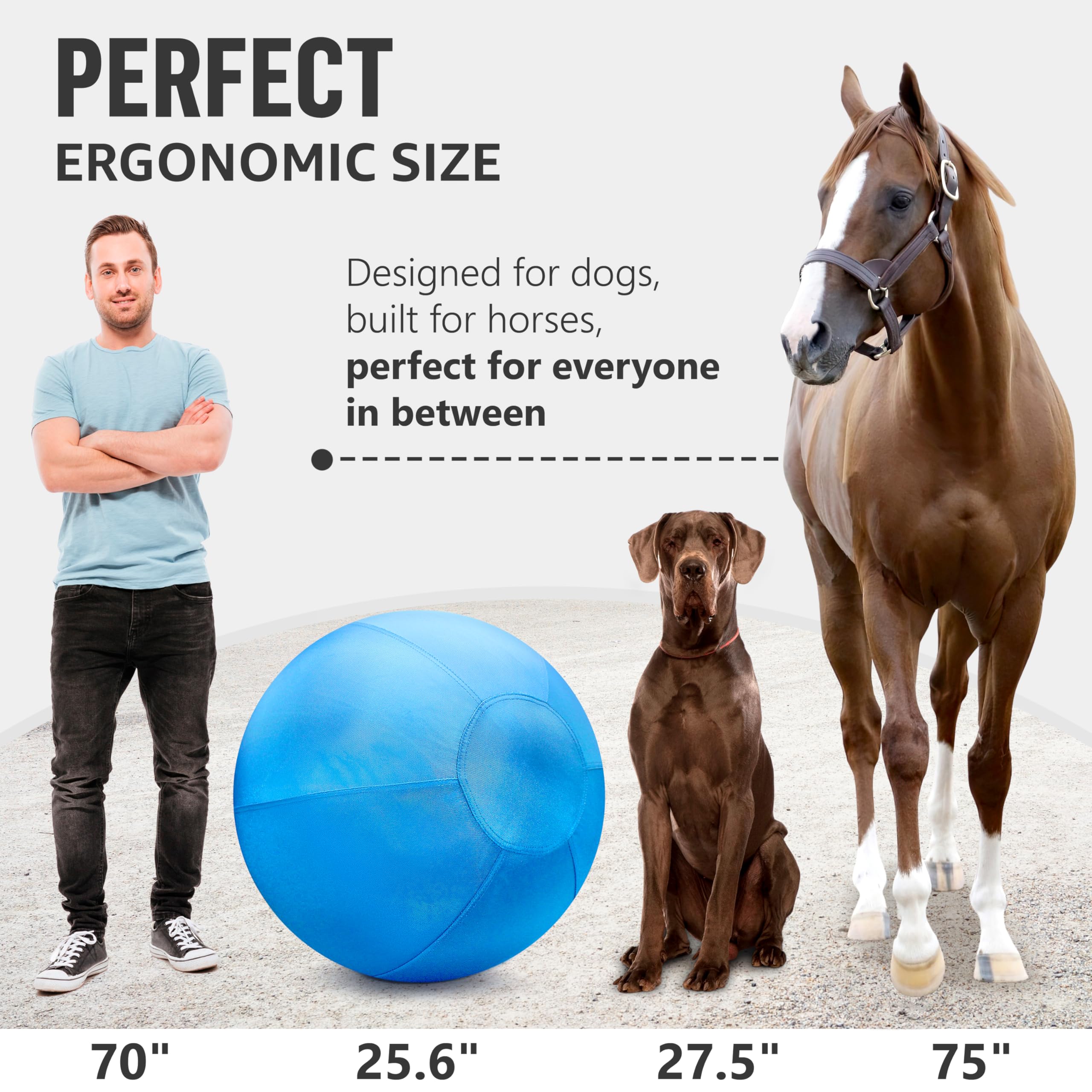 GILYX 25-inch blue ball ideal for interactive herding and exercise.
