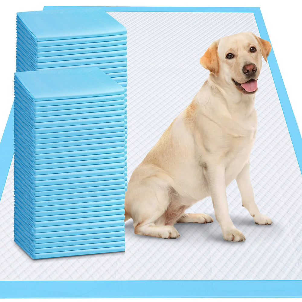 Gimars 4XL dog pad coverage shows a large surface for big pets.