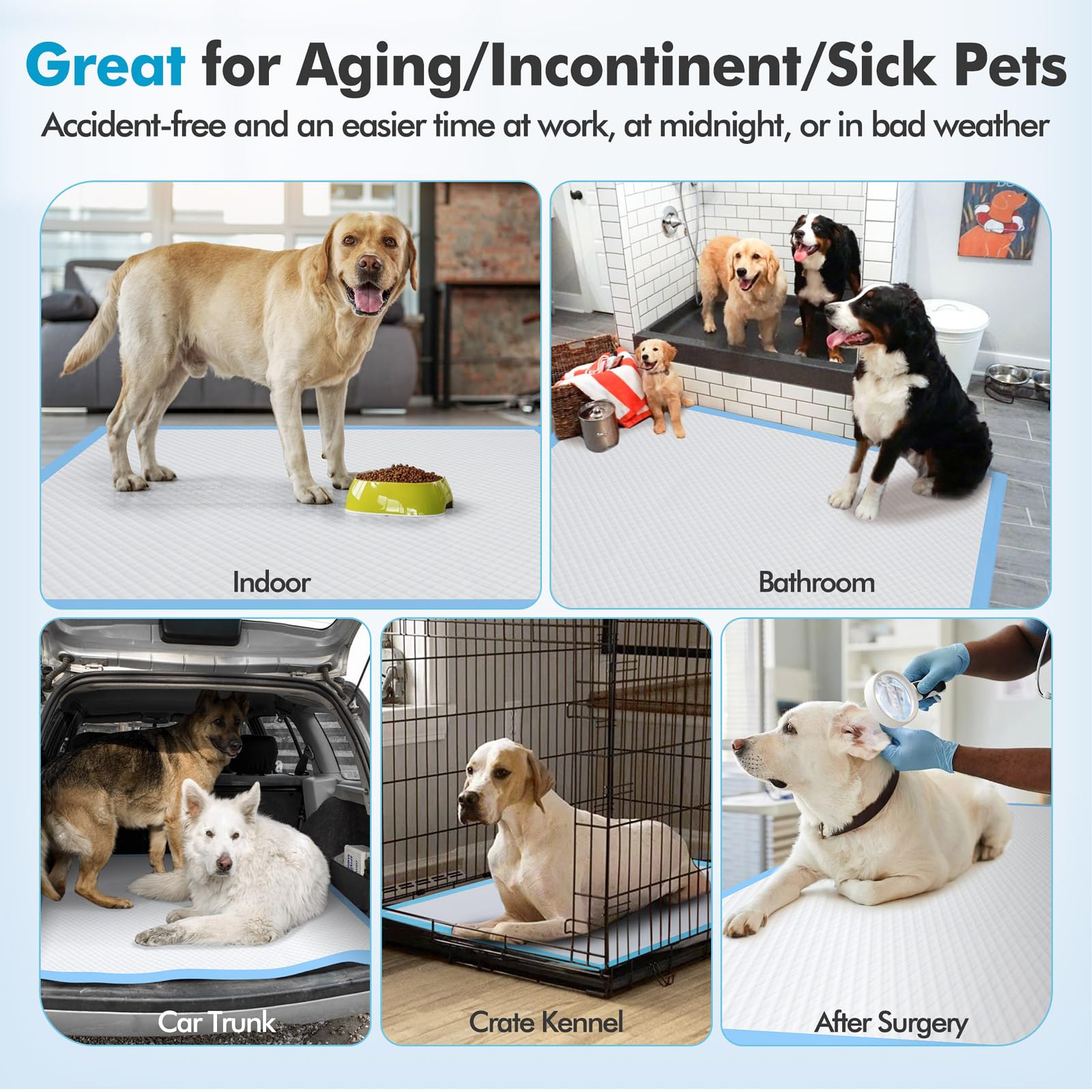 Gimars puppy tray support supports potty training routines.
