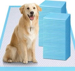Gimars thicker-ultra-absorbent puppy pad 28x34 setup keeps floors dry during training.
