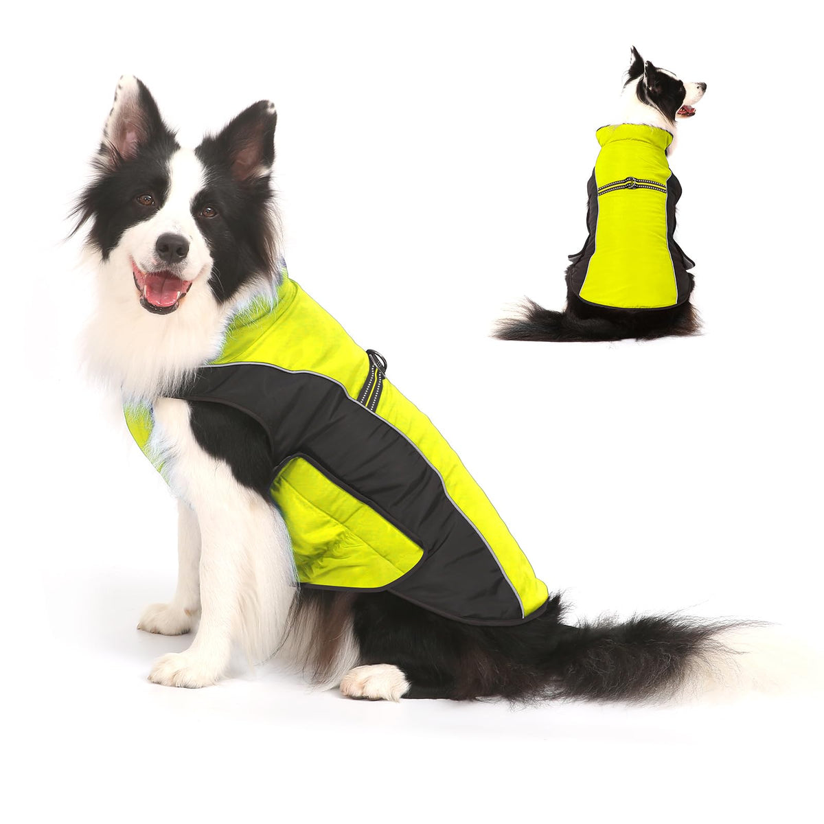 Gimilife warm dog winter coat front view for cozy chilly walks.