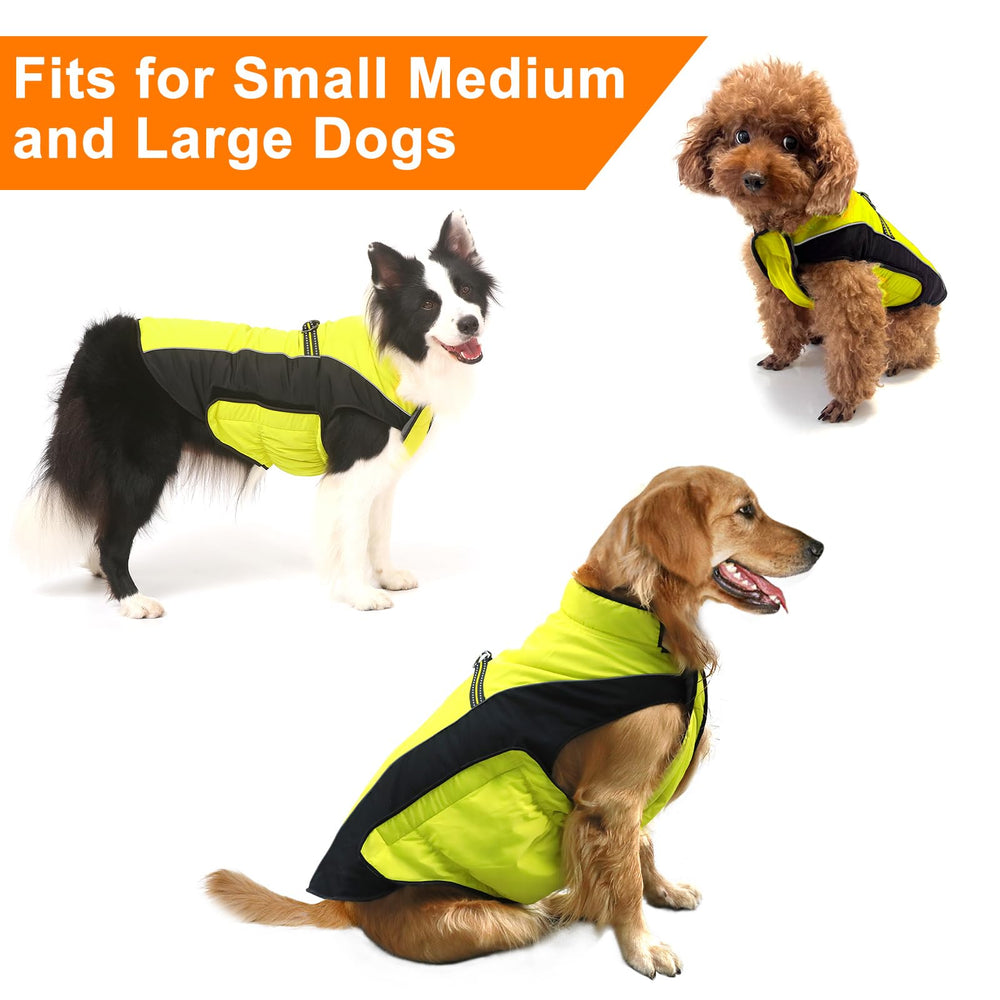 Gimilife interior waterproof coating keeps dogs dry during outdoor adventures.