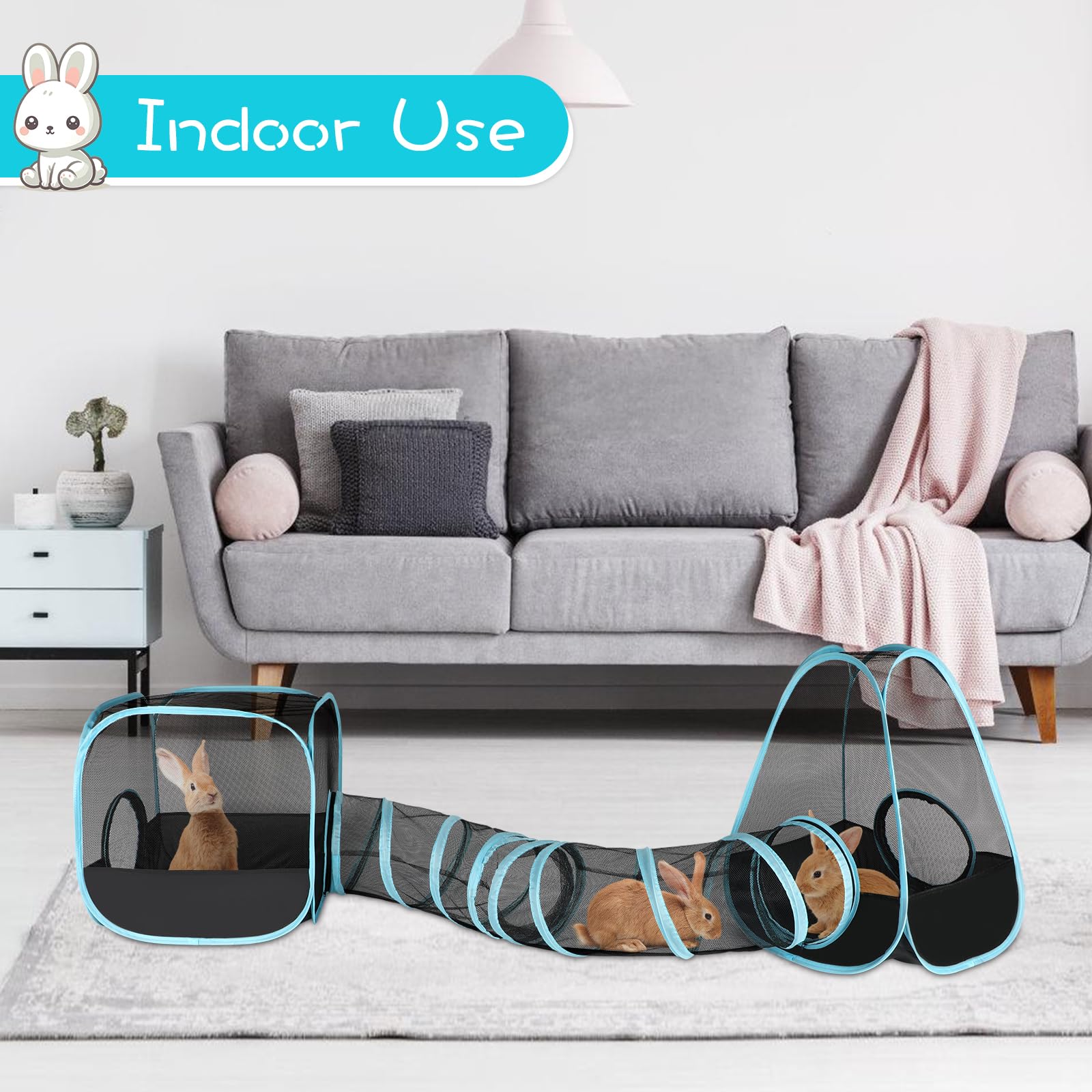 GINDOOR pop-up setup image illustrates fast assembly and portability