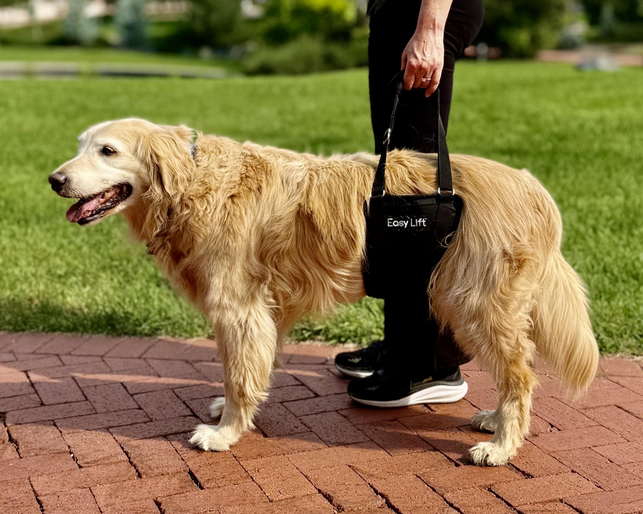GingerLead Easy Lift Sling supports recovery routines after knee, hip, or back surgery.