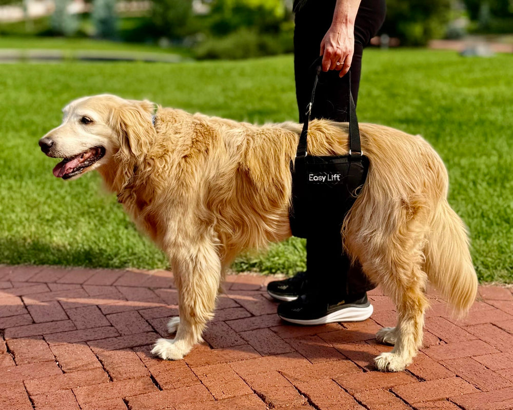 GingerLead Easy Lift Sling supports recovery routines after knee, hip, or back surgery.