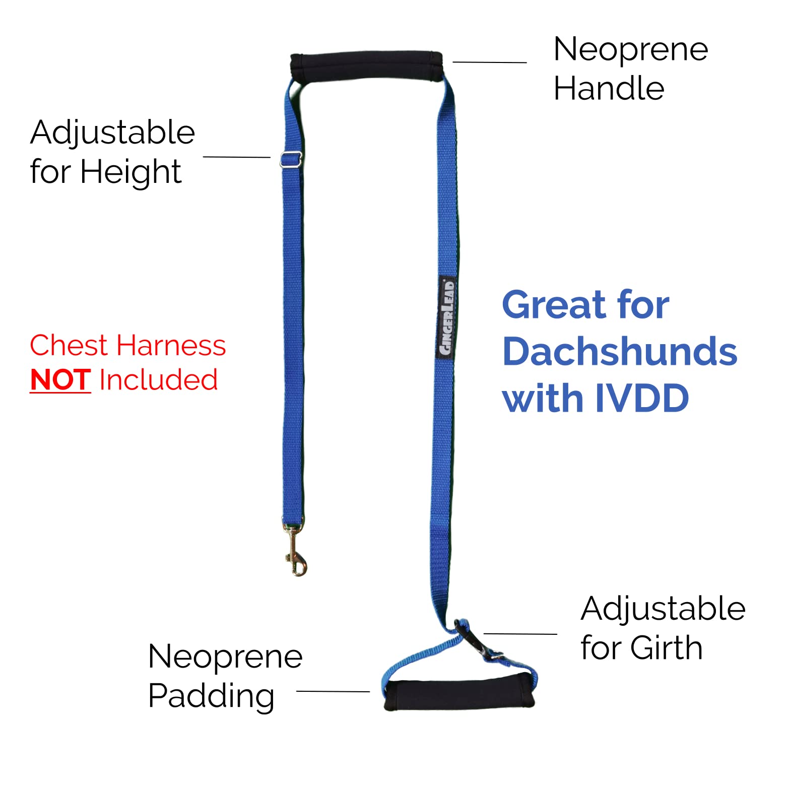 GingerLead machine-washable neoprene pad for easy cleaning.