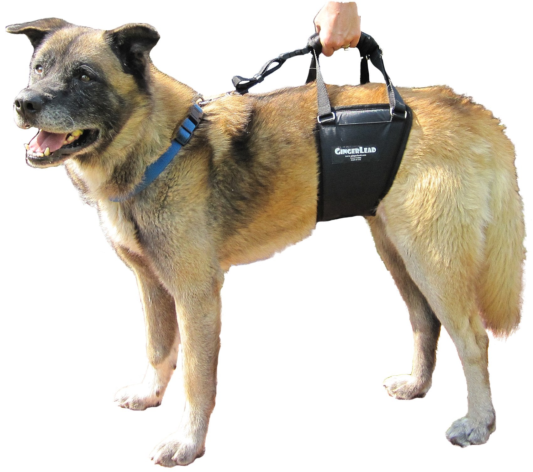 GingerLead made-in-usa label signifies durable, American-made quality.